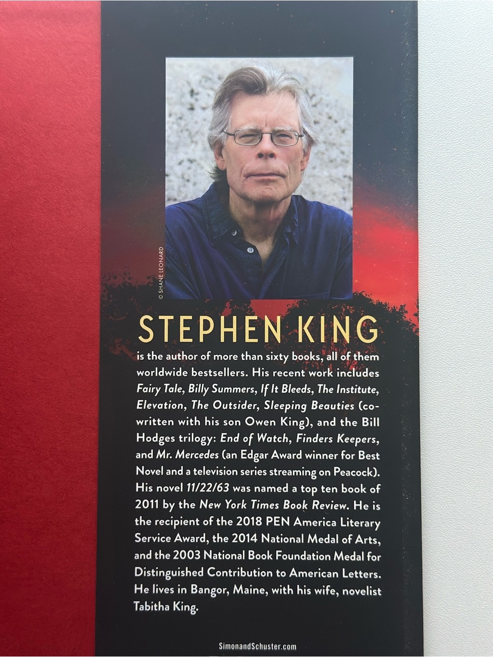 Holly by Stephen King | Fiction, Thriller | Hardcover Book - Picture 4 of 11
